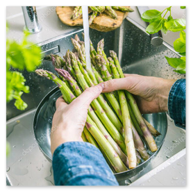 Einblick in Sortierung und Aufbereitung des Spargels